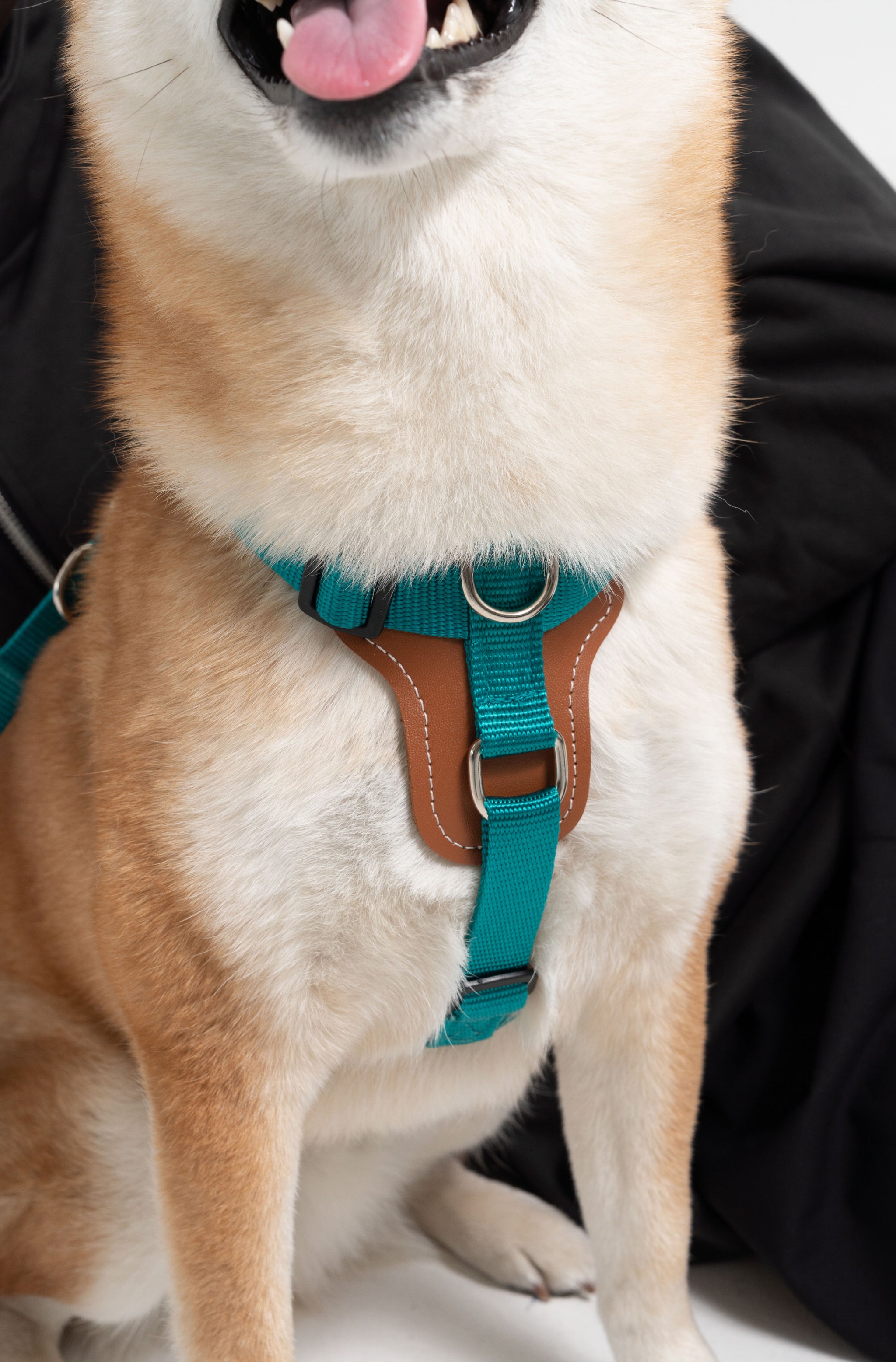 Holuck dog harness hotsell